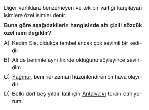 5. Sınıf Türkçe Dil Yapıları-İsimler testi 1. soru