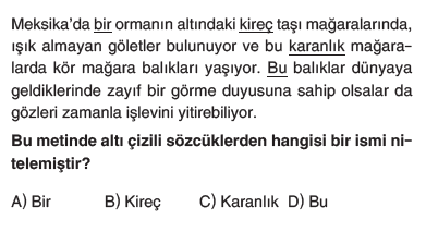 5. Sınıf Türkçe Dil Yapıları-İsmi Niteleyen ve Belirten Sözcükler testi 2. soru