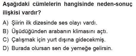 5. Sınıf Türkçe Cümlede Anlam testi 1. soru