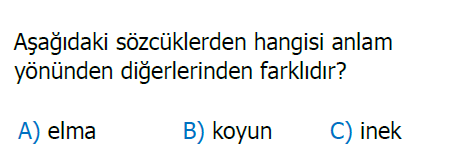 2. Sınıf Türkçe Kelime Bilgisi testi 2. soru