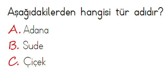 2. Sınıf Türkçe Ad ve İsim Bilgisi testi 1. soru